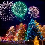 pexels-jill-wellington-1638660-6194304