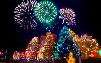 pexels-jill-wellington-1638660-6194304